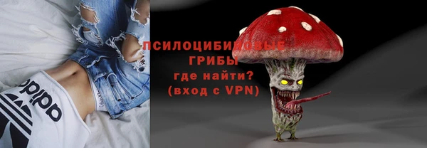 бошки Арсеньев