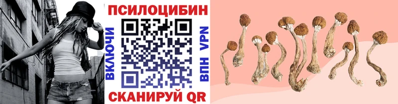 Галлюциногенные грибы GOLDEN TEACHER  Узловая 